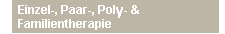 Einzel-, Paar-, Poly- und Familientherapie